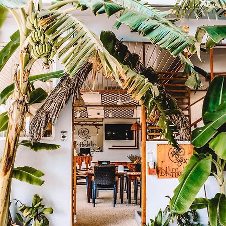 Dhiffushi Inn المظهر الخارجي الصورة