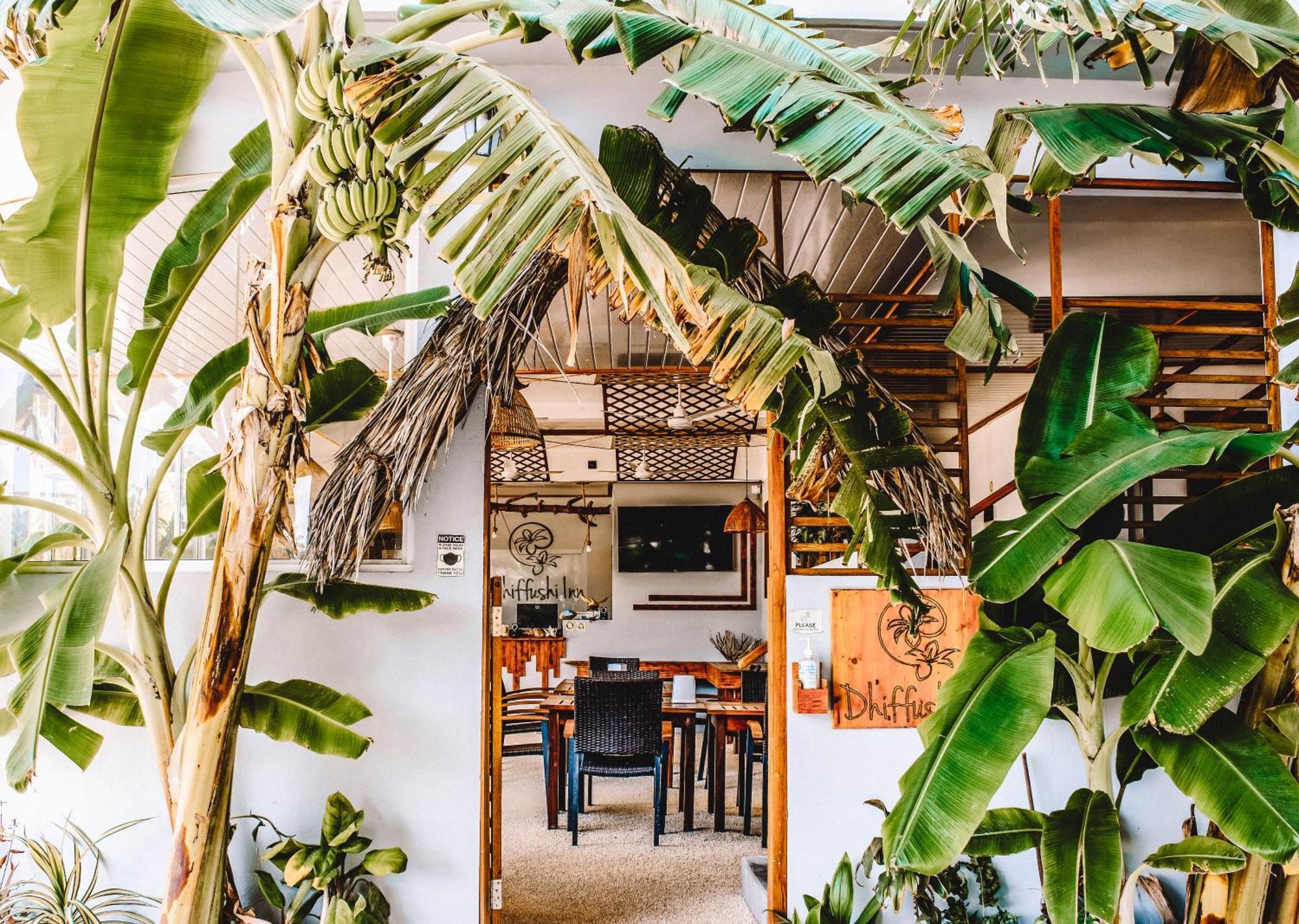 Dhiffushi Inn المظهر الخارجي الصورة